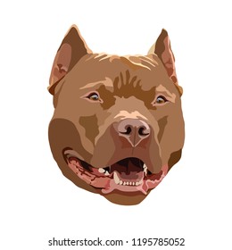 brown Staffordshire terrier vector

