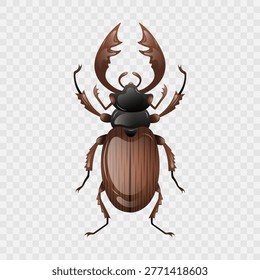 Brown stag beetle isolated  on transparent background. Realistic bug with gradient texture. Lucanus cervus. Top-down illustration. Vibrant insect. Macro detailed view. Vector illustration. 