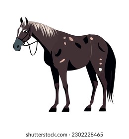 brown stallion on white background icon isolated