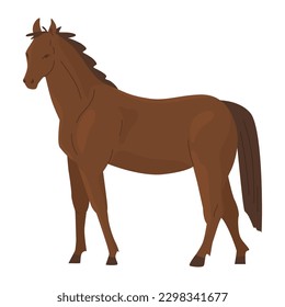 Brown standing horse. Livestock, racehorse breeding. Hippodrome. Vector illustration. Isolated object on white background.