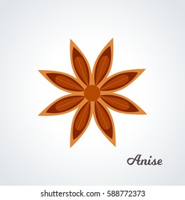 brown star anise on a light background