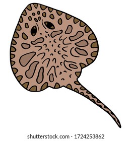 Brown stingray on white isolated backdrop. Sea creature for gift card, tattoo parlor or pet shop logo, diving club emblem, bath tile. Phone case or cloth print. Doodle style stock vector illustration