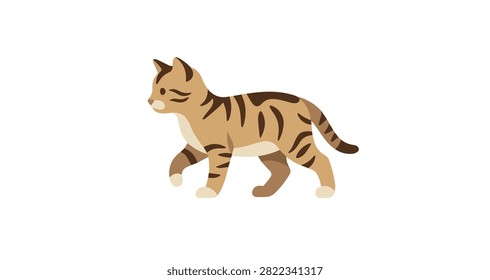 brown striped cat walking with tail curved on white background animal pet side view