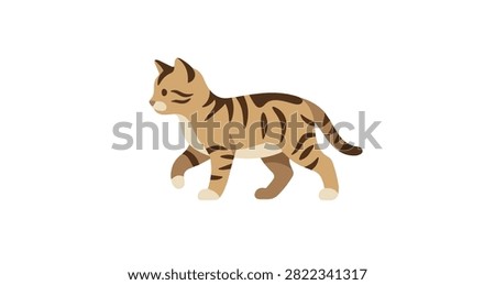 brown striped cat walking with tail curved on white background animal pet side view