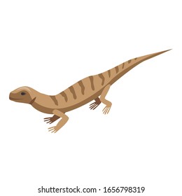 Icono de lagarto rayado marrón. Isométrico del vector de lagarto rayado marrón para el diseño web aislado en fondo blanco