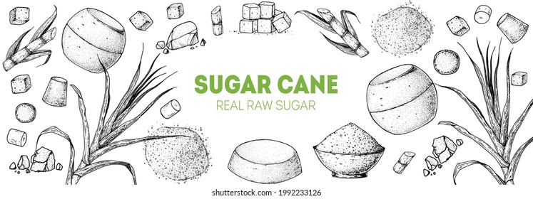 Brown Sugar Organic Unrefined. Sugar cane sketch. Hand drawn vector illustration. Sugar cane sketch. Vintage design template. Panela, Gur or jggery powder. 