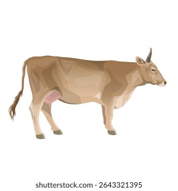 Perfil de vaca leiteira suíça marrom. A raça bovina alpina destinada à produção de leite. Ilustração de vetor realista isolado no fundo branco.