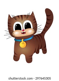 Brown tabby cat with a blue collar
