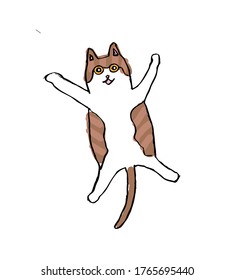 Brown tabby cat vector illustration
