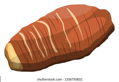 Ilustración vectorial de raíz de taro marrón de verduras sobre fondo blanco.