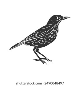 Brown Thrasher Icon Silhouette Illustration. Vector Graphic Pictogram Symbol Clip Art. Doodle Sketch Black Sign.