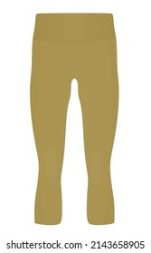 Marrón tres cuartos de pantalones. ilustración vectorial