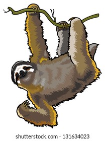 brown three-toed sloth hanging on a tree branch . Front view. Isolated vector illustration 