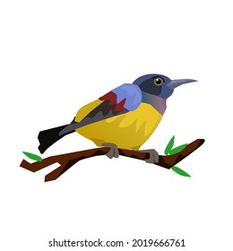 brown throated bird clinging on a branch.little yellow bird.Isolated vector illustration on a white background.