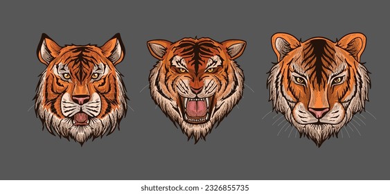 brown tiger head vector illustration with shading and consisting of three images