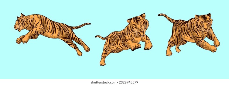 brauner Tiger, Vektorgrafik mit Schatten, bestehend aus drei Bildern