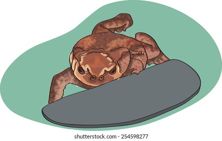 Brown toad illustration in a pond