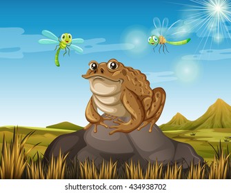 Brown toad sitting on rock illustration