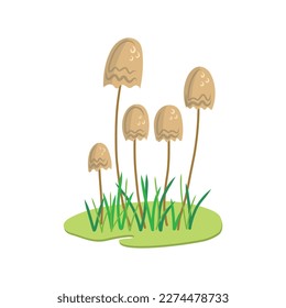 brown toadstool mushrooms on a thin stalk autumn vector