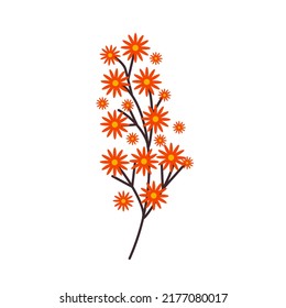 Brauner Baumzweig mit hellen orangefarbenen Blumen. Botanische Elemente. Blütenbaum. Blumenkästen-Design-Elemente. Frühjahrsbotanische Vektorgrafik auf weißem Hintergrund
