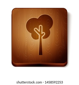 Brown Tree icon isolated on white background. Forest symbol. Wooden square button. Vector Illustration