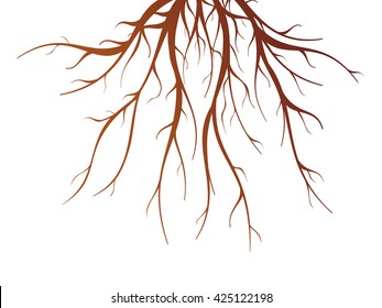 Brown tree root on white background flat isolated vector illustration