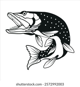 Brown Trout Logo. Unique, Bold, and Eyecatching Brown trout jumping out of the water. Suitable for any Brown Trout Fishing events. Print on Tshirt etc
