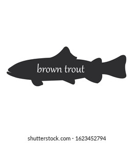 Brown Trout or Salmo trutta, fish black silhouette on white background.