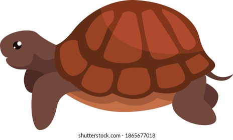 Brown turtle illustration, vector on white background.