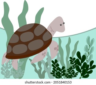 brown turtle seaweed under the sea vector illustration marine animal cute cartoon