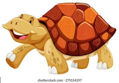 Brown turtle walking on whitebackground