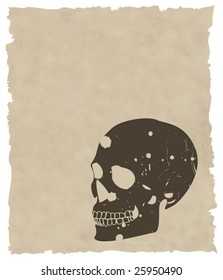 the brown vector grunge skull on old paper eps 8