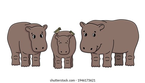 Brauner Vektorgrafik-Zeichensatz aus drei Hippos stehen auf dem Boden. Zwei Oxpecker-Vögel liegen auf der Rückseite des Nilpferdes. Doodle einzeln auf weißem Hintergrund