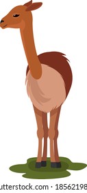 Brown vicuna, illustration, vector on white background