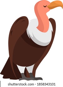 Brown vulture, illustration, vector on white background