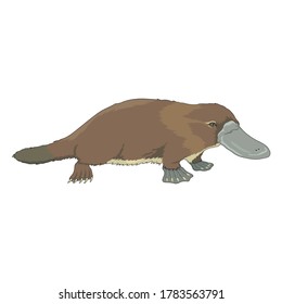 Brown Walking Platypus Aquatic Animal Design cartoon