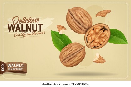 Brown Walnut with half broken walnut and kernel pieces in the air vector illustration