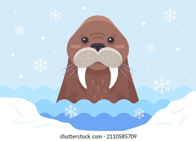 brown walrus swims among ice floes in antarctica. flat vector illustration.