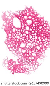Brown watercolor bubble texture background. Abstract soap foam coffee bubble, vector perfect for backgrounds, packaging, or design projects