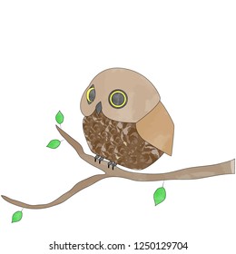 the brown watercolor owl
