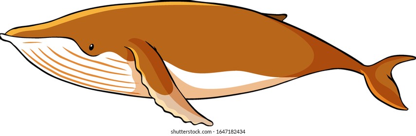 Ballena marrón en ilustración de fondo blanco