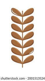 brown wheat leaves on background