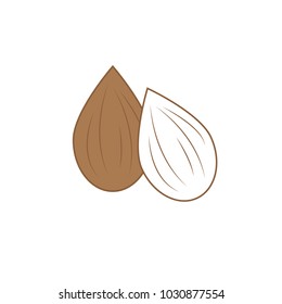 brown and white almonds - vector illustrator