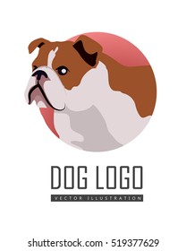 Brown and white bulldog dog, round logo on white background. Dog icon. Vector illustration in flat style. English bulldog design. Cartoon dog character, pet animal.