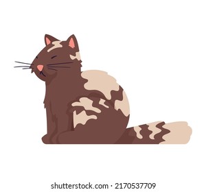 mascota de gatos marrones y blancos