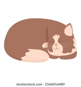 Brown and white cat is sleeping soundly, curled up in a ball