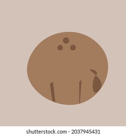 Brown and white coconut round balls