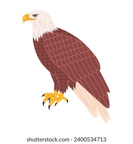 brown and white color bald eagle America national bird hunter predator wild nature carnivore animal