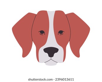 brown and white color head American foxhound dog breed mammal domestic animal cute funny adorable pet