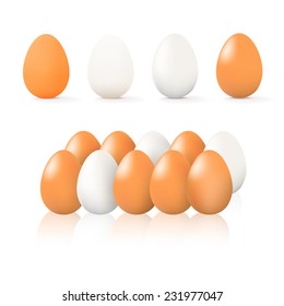 brown and white egg on white background. Photo-realistic vector illustration